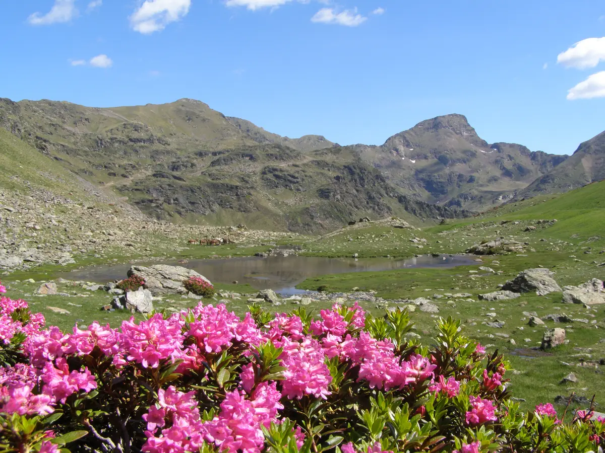 Bergslandskap vid Arcalís och Tristaina-sjöarna i Andorra