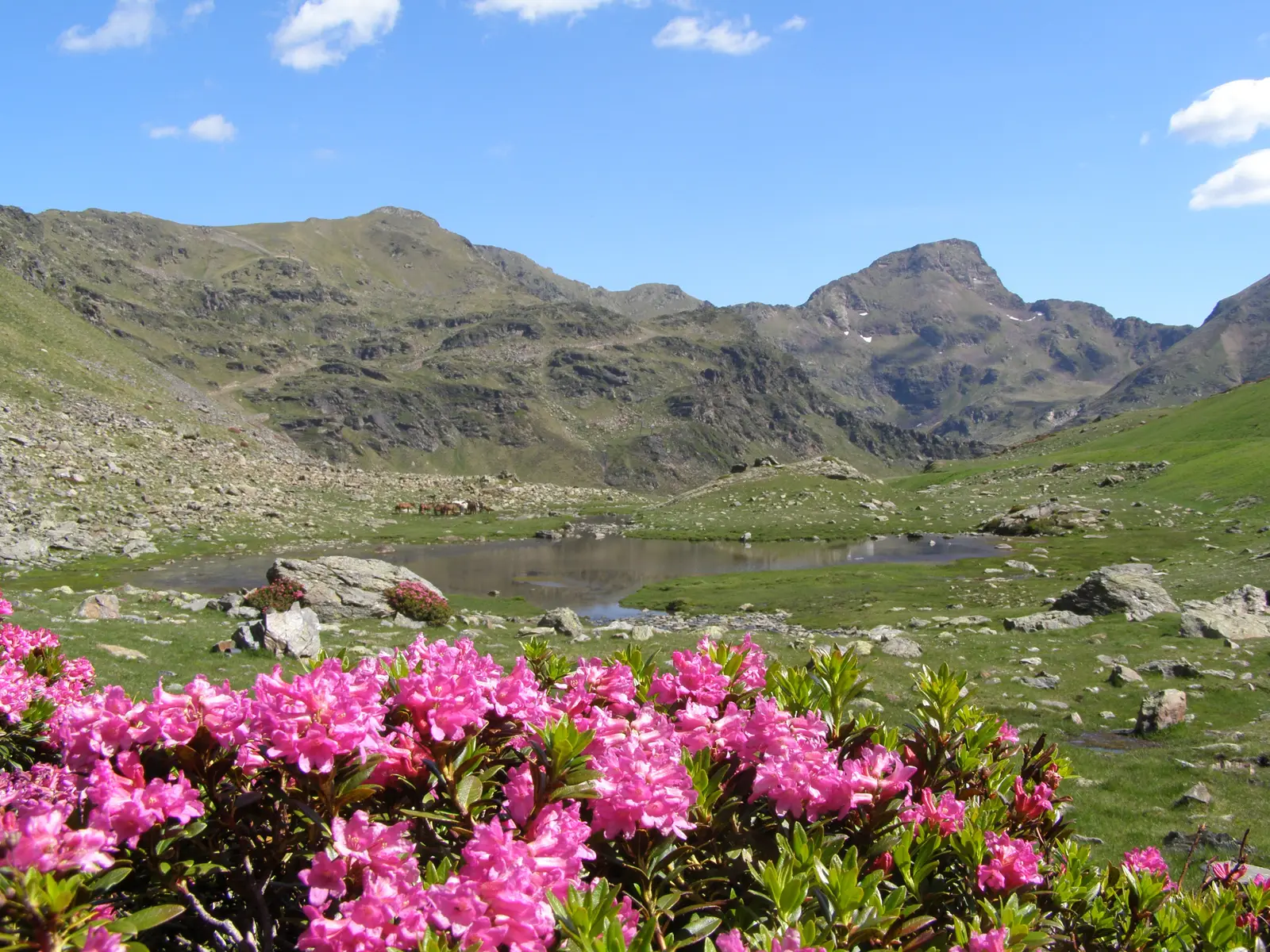 Bergslandskap vid Arcalís och Tristaina-sjöarna i Andorra